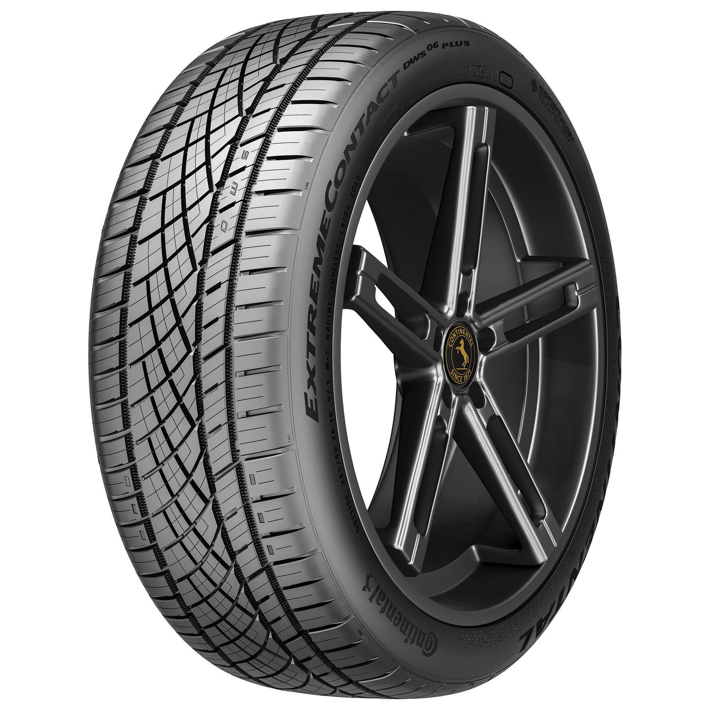 CONTINENTAL EXTREMECONTACT DWS 06 PLUS