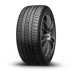 Michelin Pilot Sport All Season 4